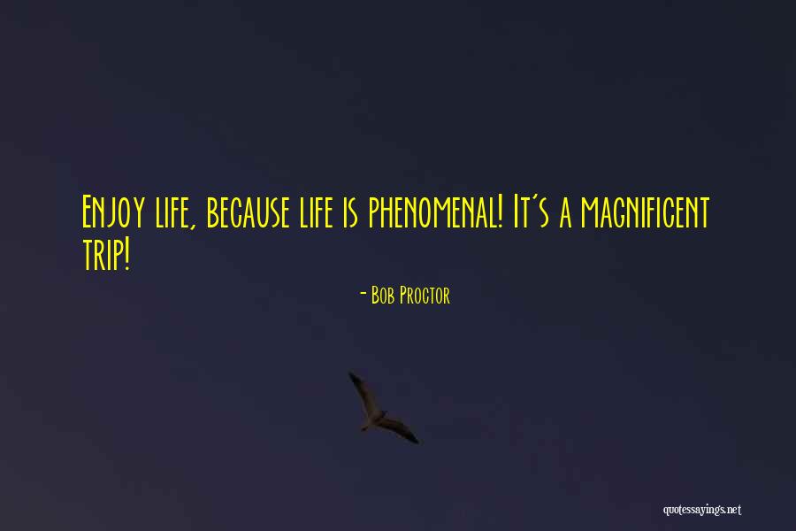 Yorkshires Of Blue Quotes By Bob Proctor