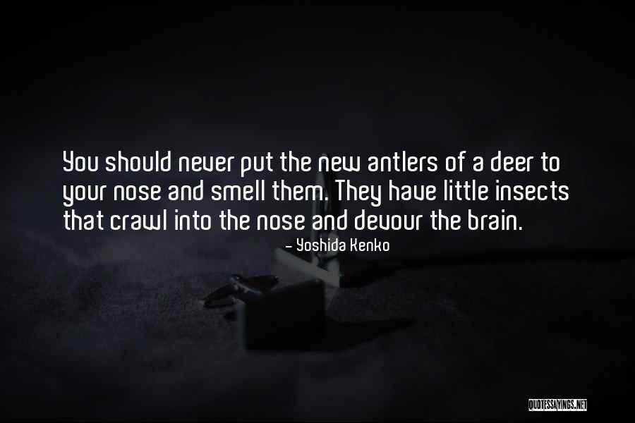 Yoshida Kenko Quotes 506696 Yoshida Kenko Quotes 506696