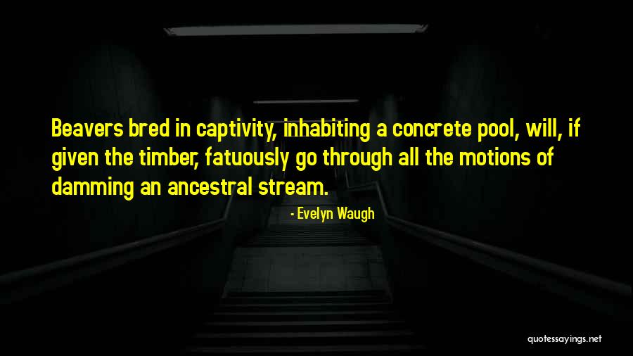 Yoshio Tsuchiya Quotes By Evelyn Waugh Yoshio Tsuchiya Quotes By Evelyn Waugh