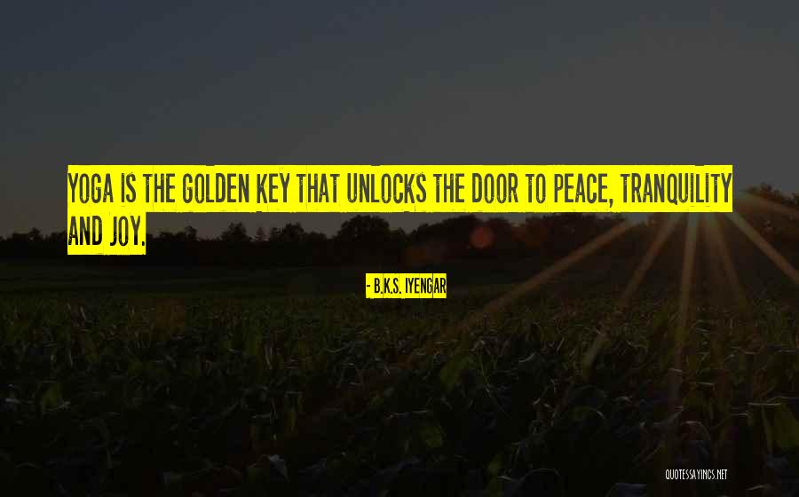 Yoshizaki Quotes By B.K.S. Iyengar Yoshizaki Quotes By B.K.S. Iyengar
