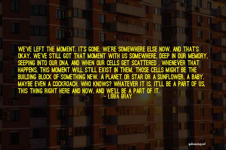 Yossi Quotes By Libba Bray Yossi Quotes By Libba Bray