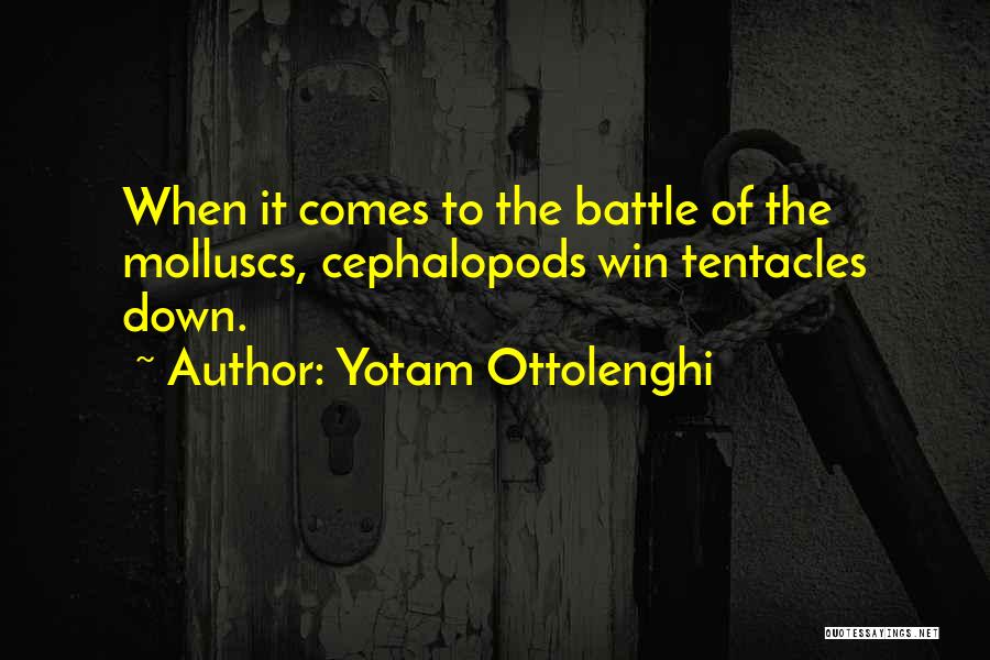 Yotam Ottolenghi Quotes 733164