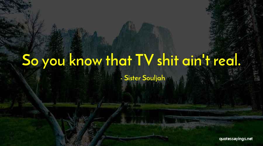 You Ain't Real Quotes By Sister Souljah You Ain't Real Quotes By Sister Souljah