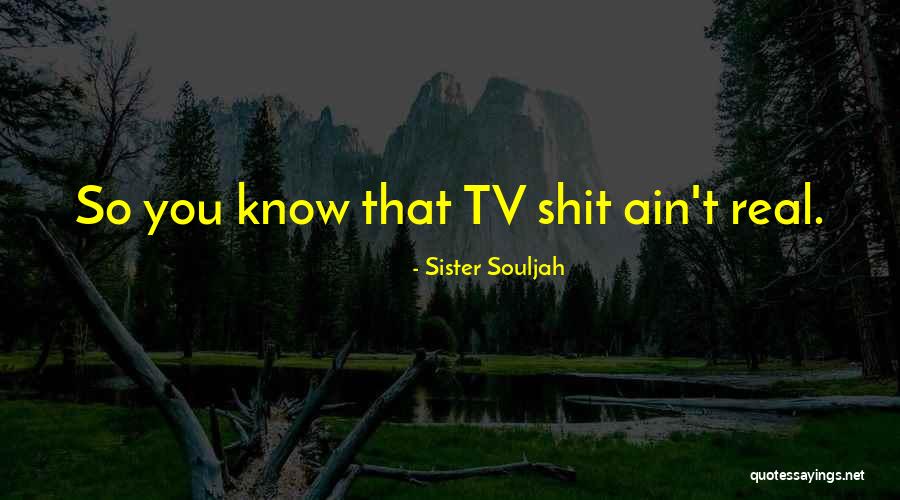 You Ain't Real Quotes By Sister Souljah