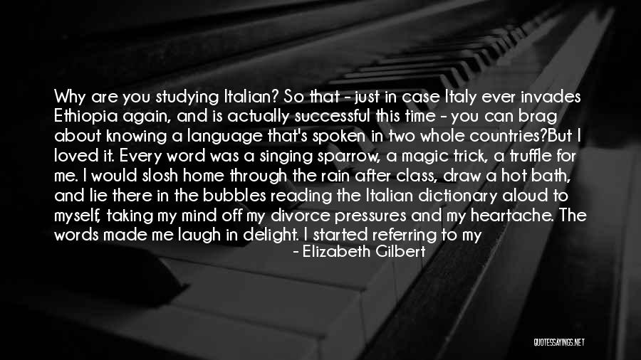 You Always Lie To Me Quotes By Elizabeth Gilbert