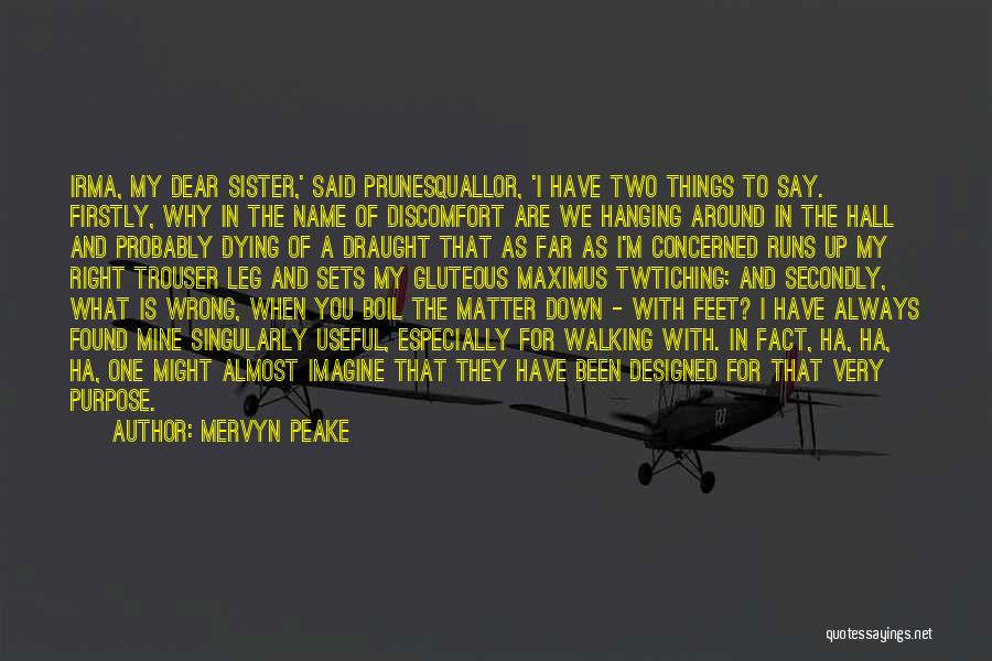 You Always Mine Quotes By Mervyn Peake