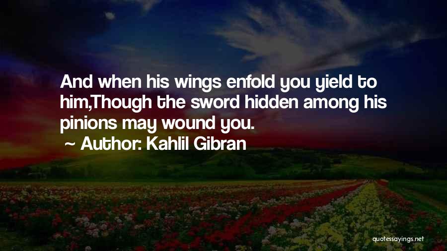You And Him Quotes By Kahlil Gibran