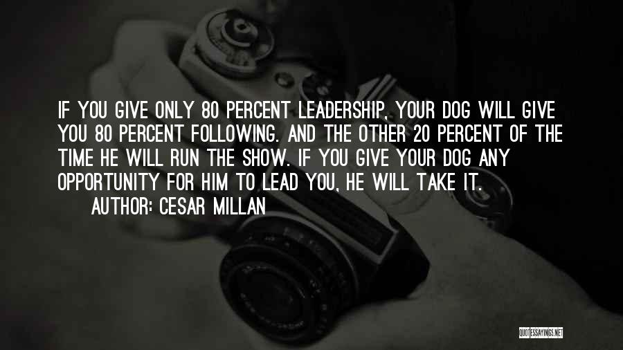 You And Your Dog Quotes By Cesar Millan