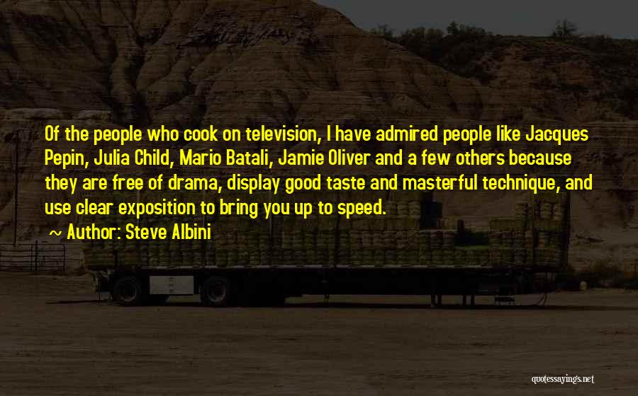 You Are A Good Cook Quotes By Steve Albini