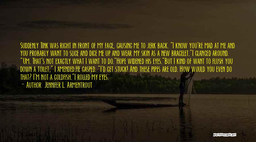 You Are A Jerk Quotes By Jennifer L. Armentrout