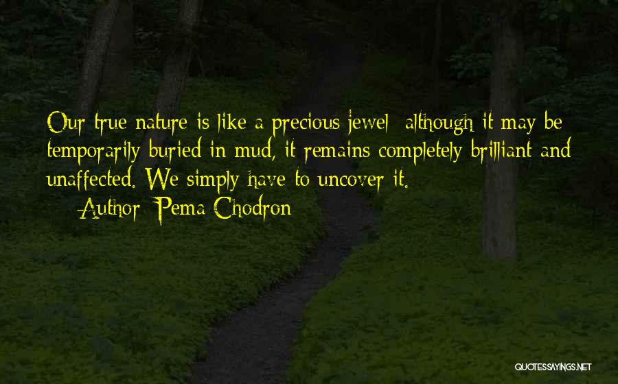 You Are A Precious Jewel Quotes By Pema Chodron