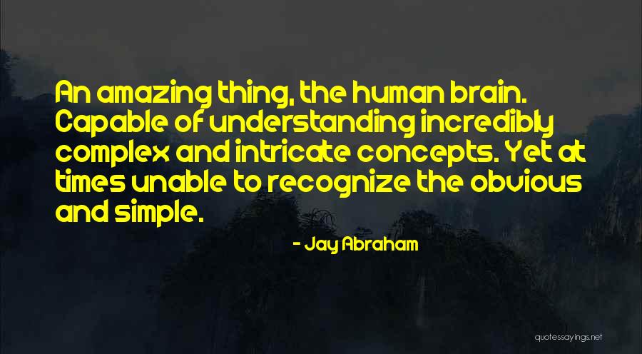 You Are Amazing And Capable Quotes By Jay Abraham You Are Amazing And Capable Quotes By Jay Abraham