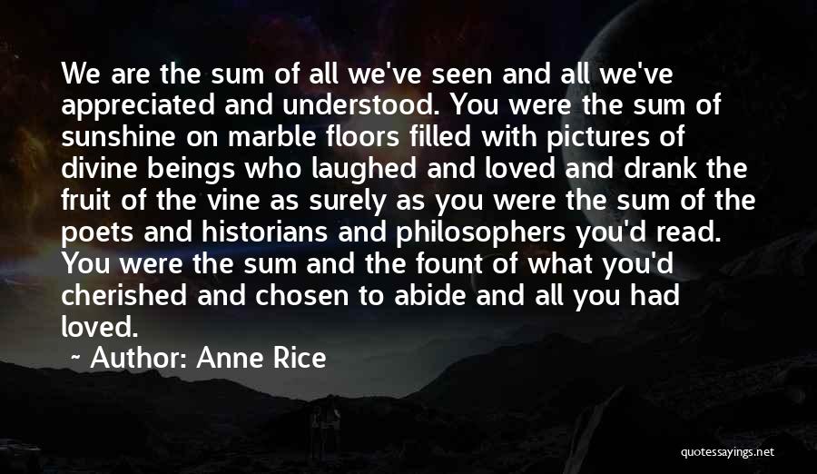 You Are Appreciated Quotes By Anne Rice