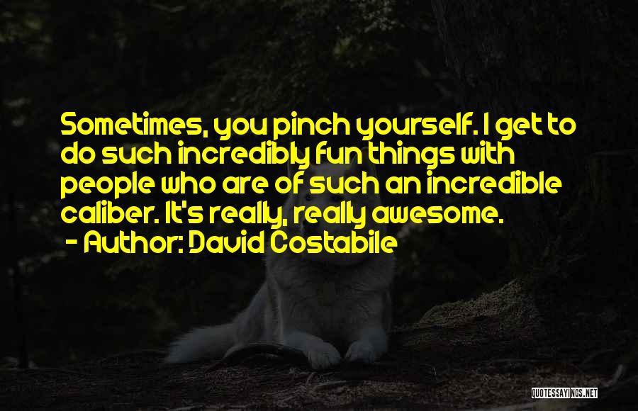 You Are Awesome Quotes By David Costabile