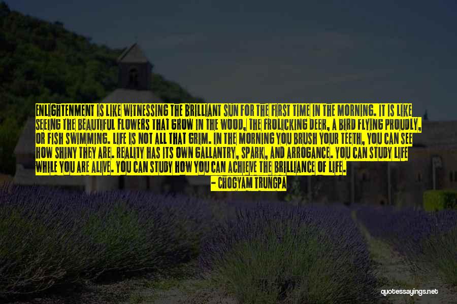 You Are Beautiful In The Morning Quotes By Chogyam Trungpa You Are Beautiful In The Morning Quotes By Chogyam Trungpa
