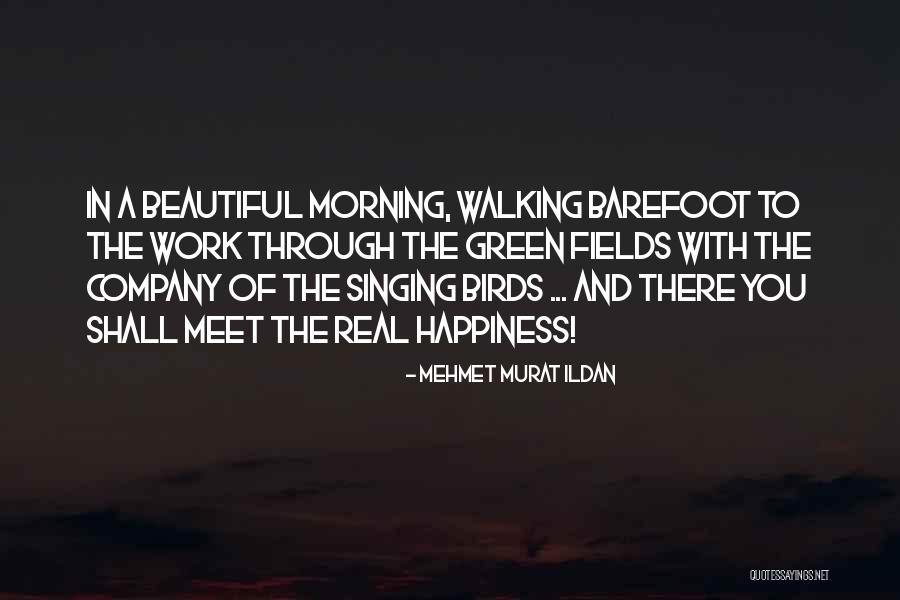 You Are Beautiful In The Morning Quotes By Mehmet Murat Ildan