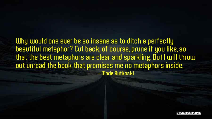 You Are Beautiful Inside Quotes By Marie Rutkoski You Are Beautiful Inside Quotes By Marie Rutkoski