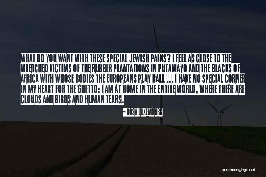 You Are Close To My Heart Quotes By Rosa Luxemburg You Are Close To My Heart Quotes By Rosa Luxemburg