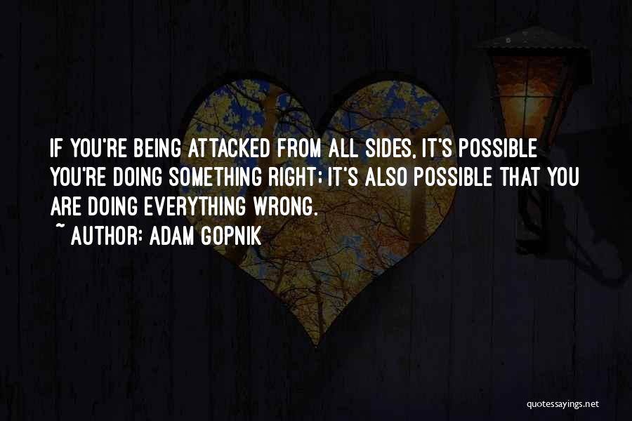 You Are Doing It Wrong Quotes By Adam Gopnik