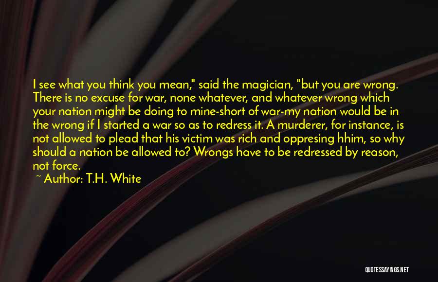 You Are Doing It Wrong Quotes By T.H. White