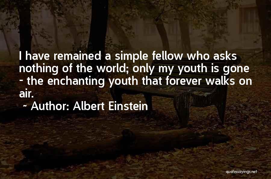 You Are Enchanting Quotes By Albert Einstein