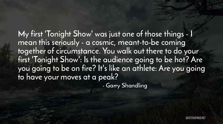 You Are Fire Quotes By Garry Shandling You Are Fire Quotes By Garry Shandling