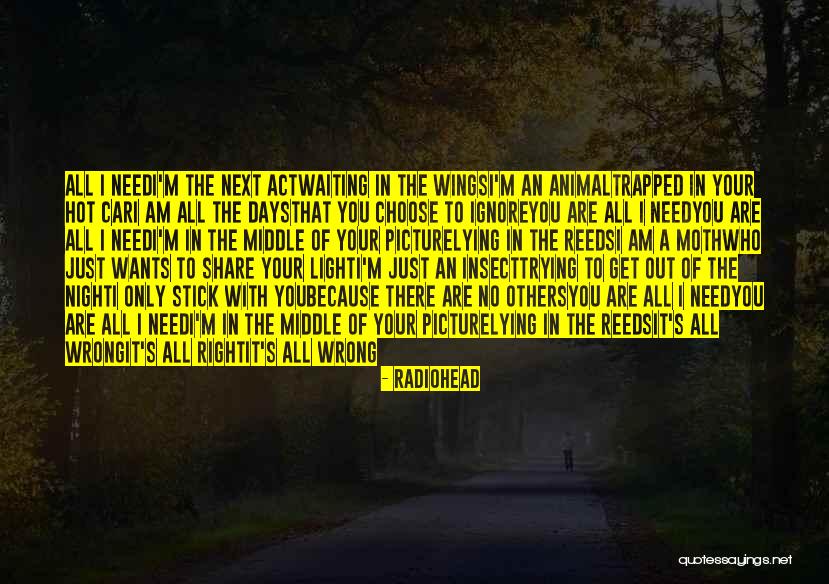 You Are Hot Quotes By Radiohead You Are Hot Quotes By Radiohead