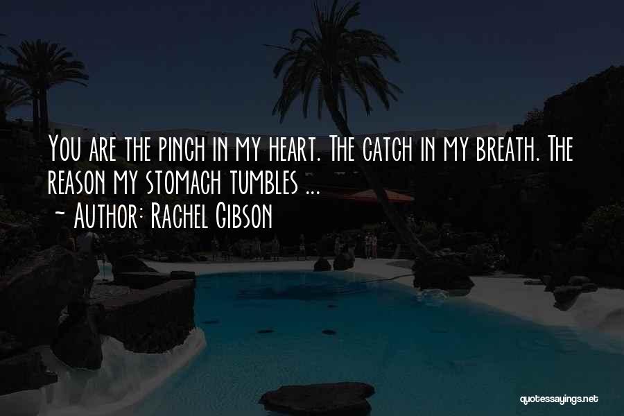 You Are In My Heart Quotes By Rachel Gibson