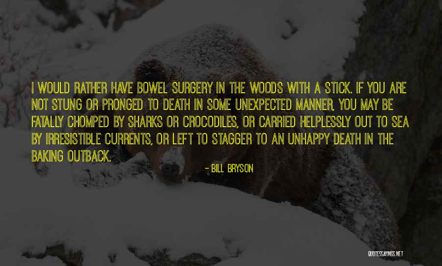 You Are Irresistible Quotes By Bill Bryson You Are Irresistible Quotes By Bill Bryson