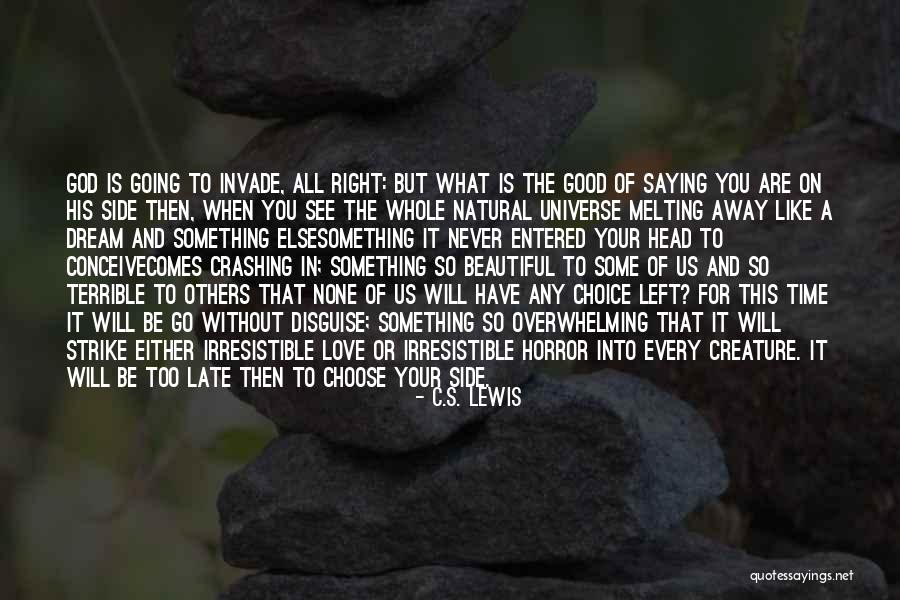 You Are Irresistible Quotes By C.S. Lewis You Are Irresistible Quotes By C.S. Lewis