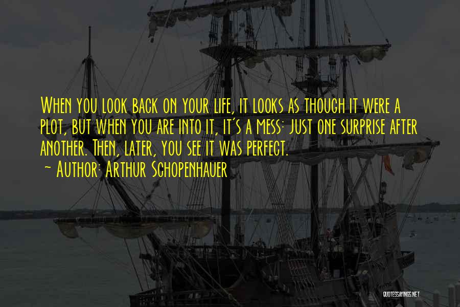 You Are Just Perfect Quotes By Arthur Schopenhauer