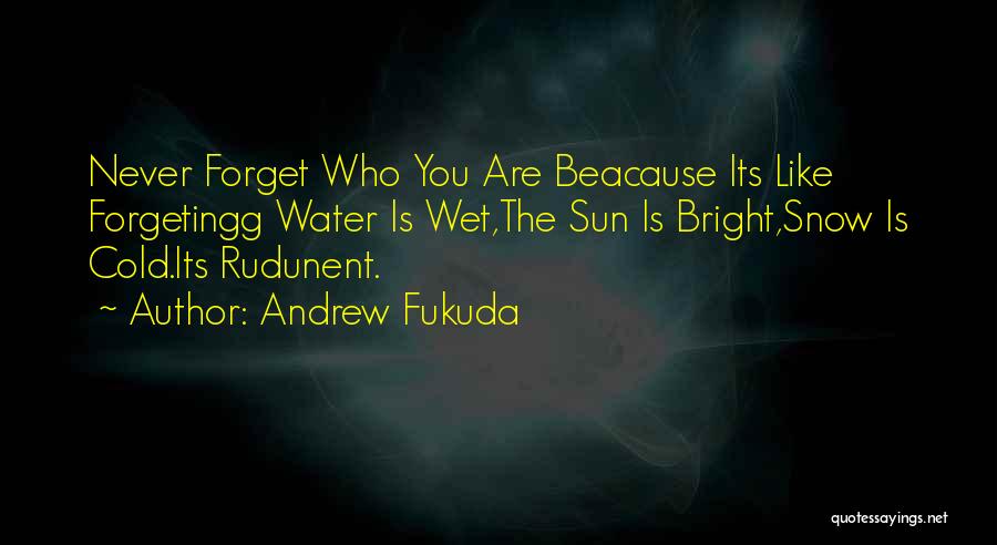 You Are Like The Sun Quotes By Andrew Fukuda