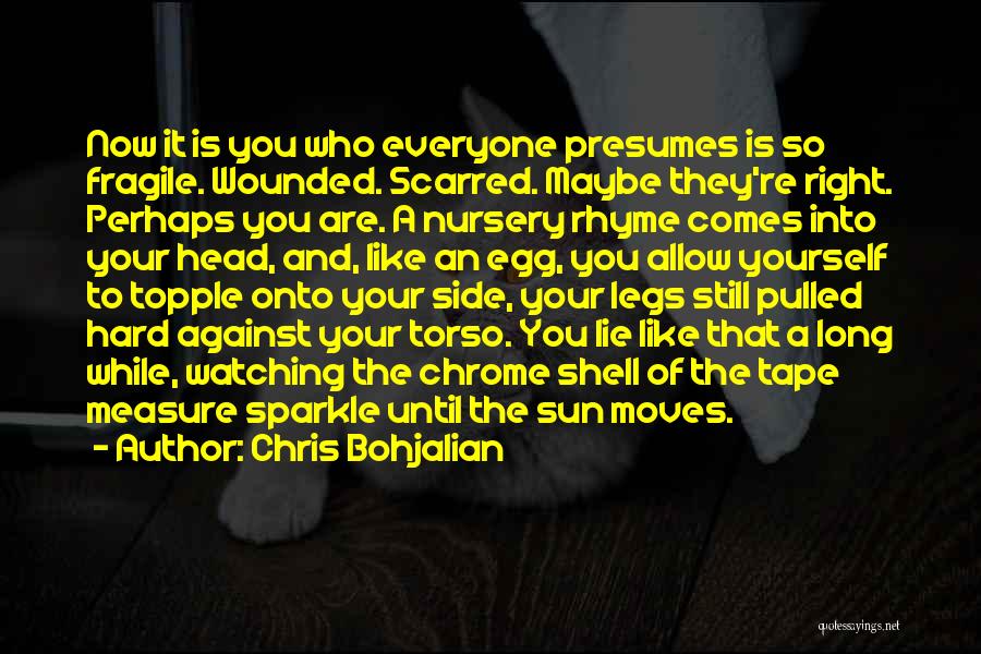 You Are Like The Sun Quotes By Chris Bohjalian