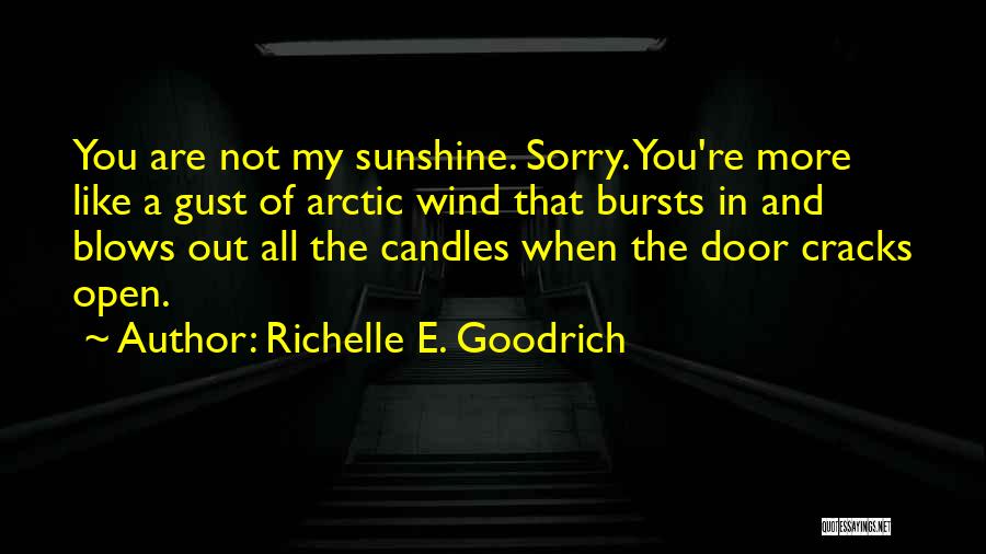 You Are Like The Sunshine Quotes By Richelle E. Goodrich