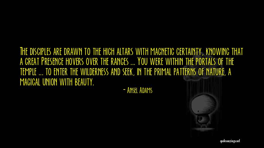 You Are Magnetic Quotes By Ansel Adams You Are Magnetic Quotes By Ansel Adams