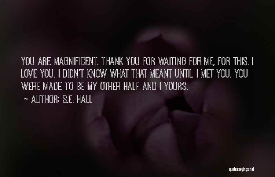 You Are Meant For Me Quotes By S.E. Hall