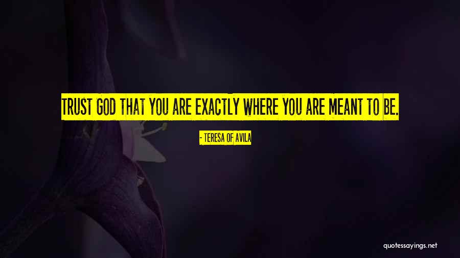You Are Meant To Be You Quotes By Teresa Of Avila You Are Meant To Be You Quotes By Teresa Of Avila