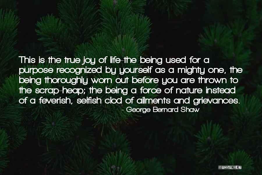 You Are Mighty Quotes By George Bernard Shaw You Are Mighty Quotes By George Bernard Shaw