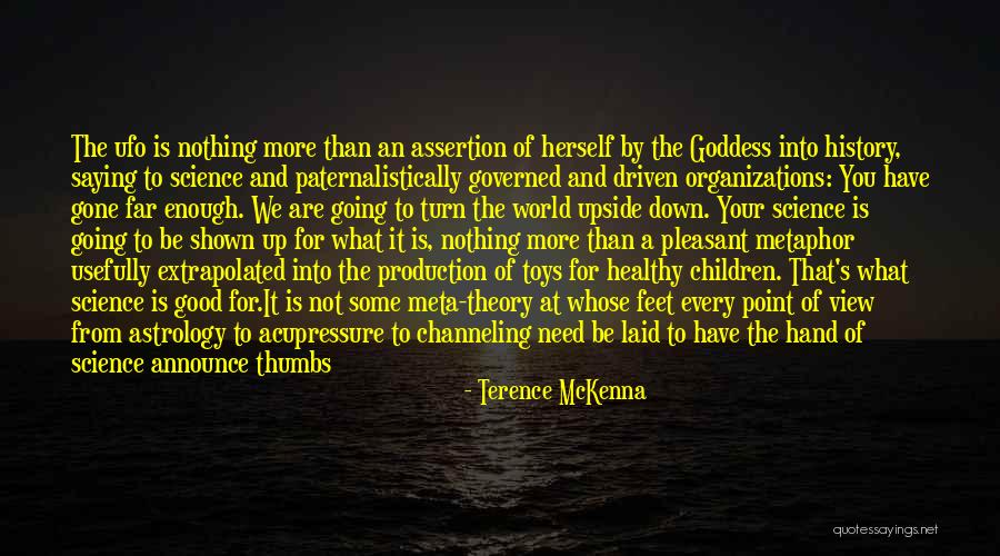 You Are More Than Good Enough Quotes By Terence McKenna You Are More Than Good Enough Quotes By Terence McKenna