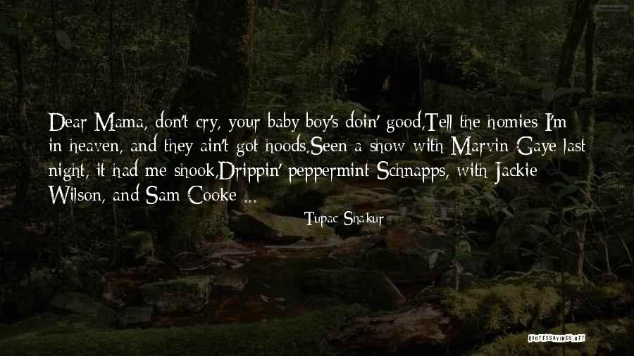 You Are My Baby Boy Quotes By Tupac Shakur You Are My Baby Boy Quotes By Tupac Shakur