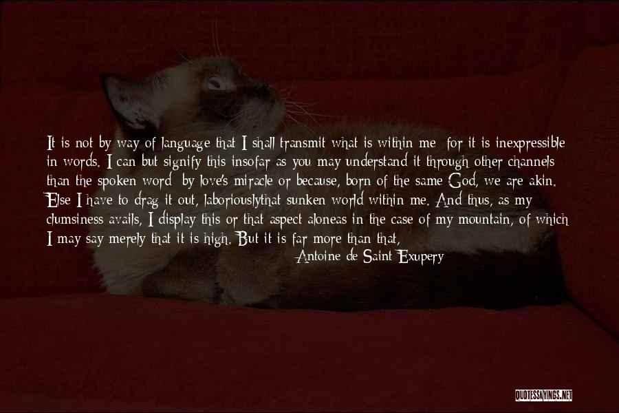 You Are My Glory Quotes By Antoine De Saint-Exupery You Are My Glory Quotes By Antoine De Saint-Exupery