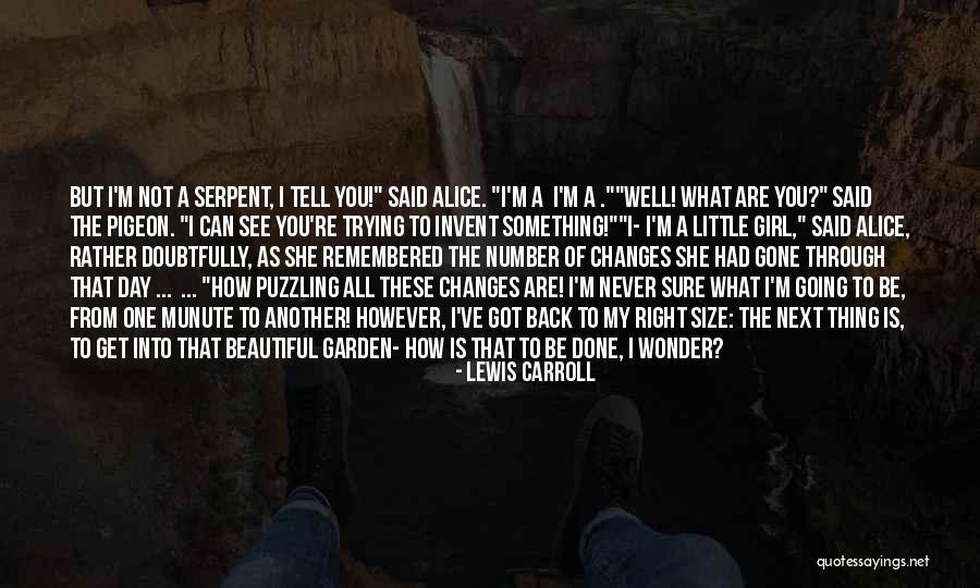 You Are My Number One Quotes By Lewis Carroll You Are My Number One Quotes By Lewis Carroll