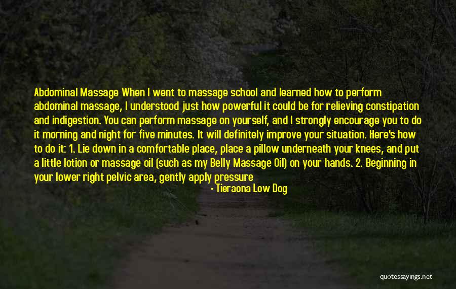 You Are My Pillow Quotes By Tieraona Low Dog You Are My Pillow Quotes By Tieraona Low Dog