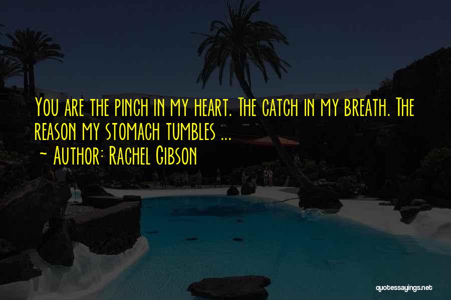 You Are My Quotes By Rachel Gibson