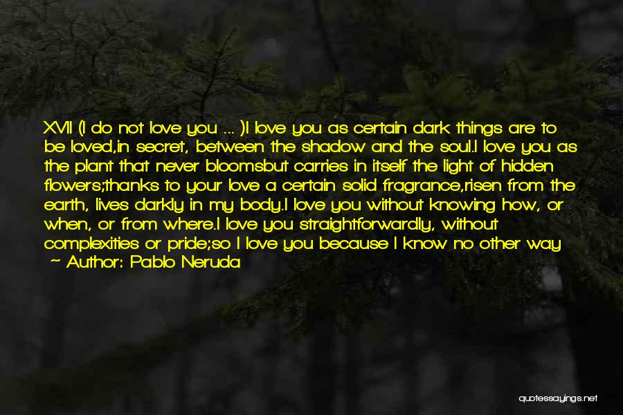 You Are My Secret Love Quotes By Pablo Neruda