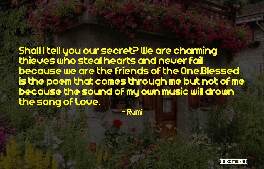 You Are My Secret Love Quotes By Rumi