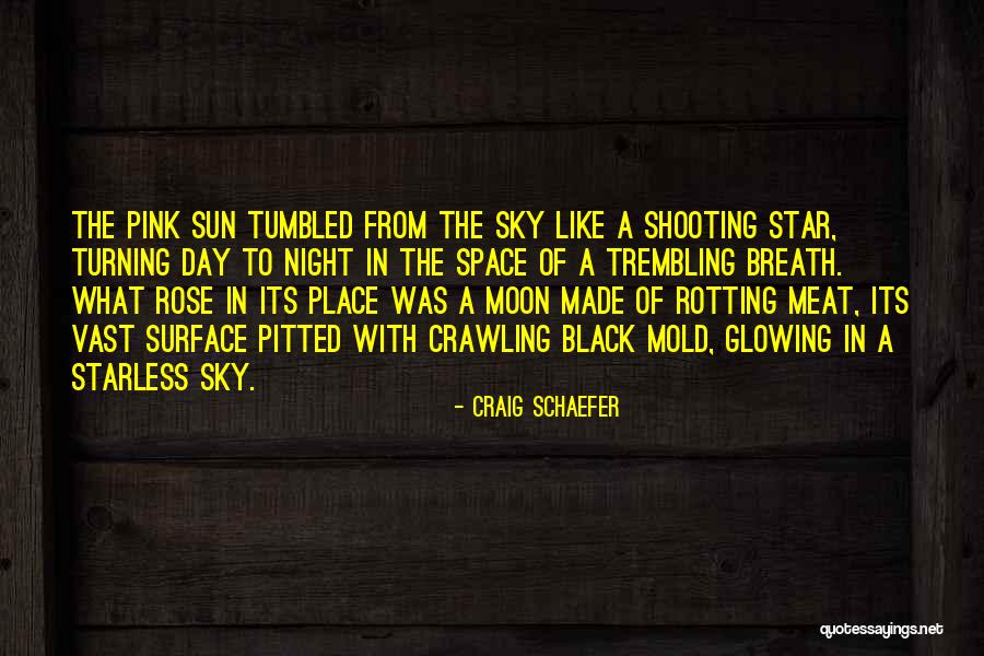 You Are My Shooting Star Quotes By Craig Schaefer
