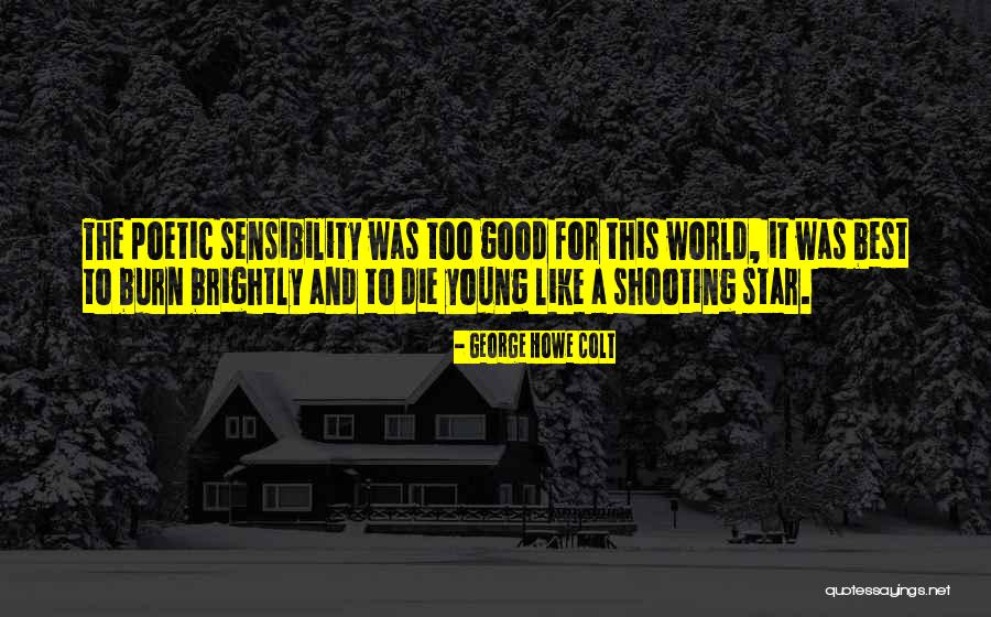 You Are My Shooting Star Quotes By George Howe Colt