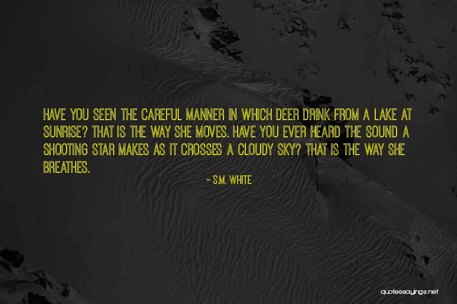 You Are My Shooting Star Quotes By S.M. White