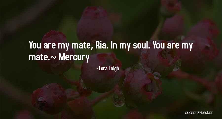 You Are My Soul Quotes By Lora Leigh